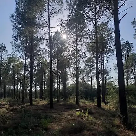 La Martanne Gasthof Argelès-sur-Mer